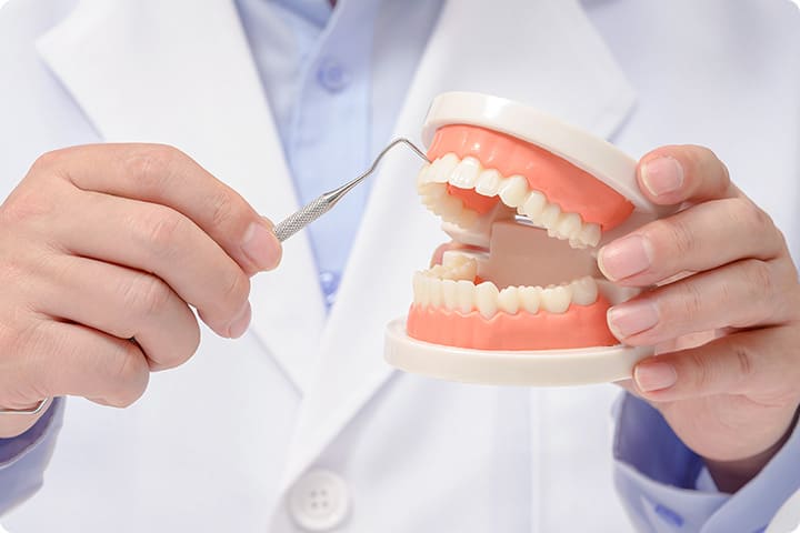 진료 문의 및 전화 예약