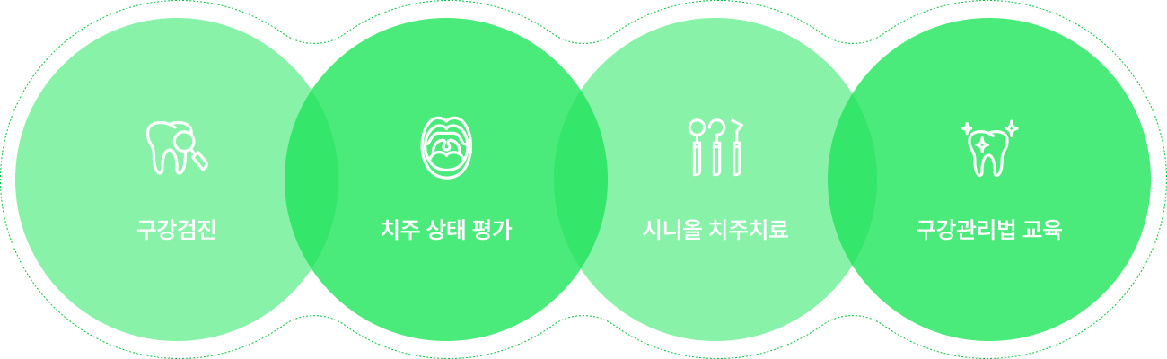 시니올 치주치료 과정