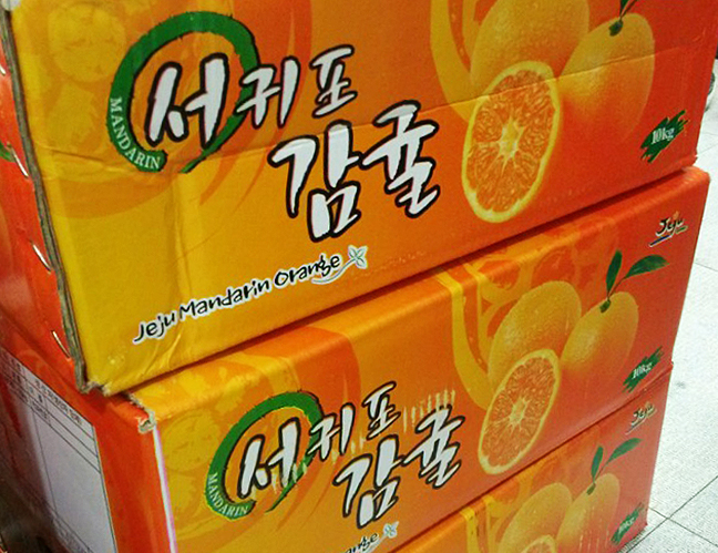 공지사항 썸네일
