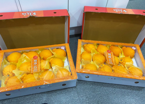 공지사항 썸네일
