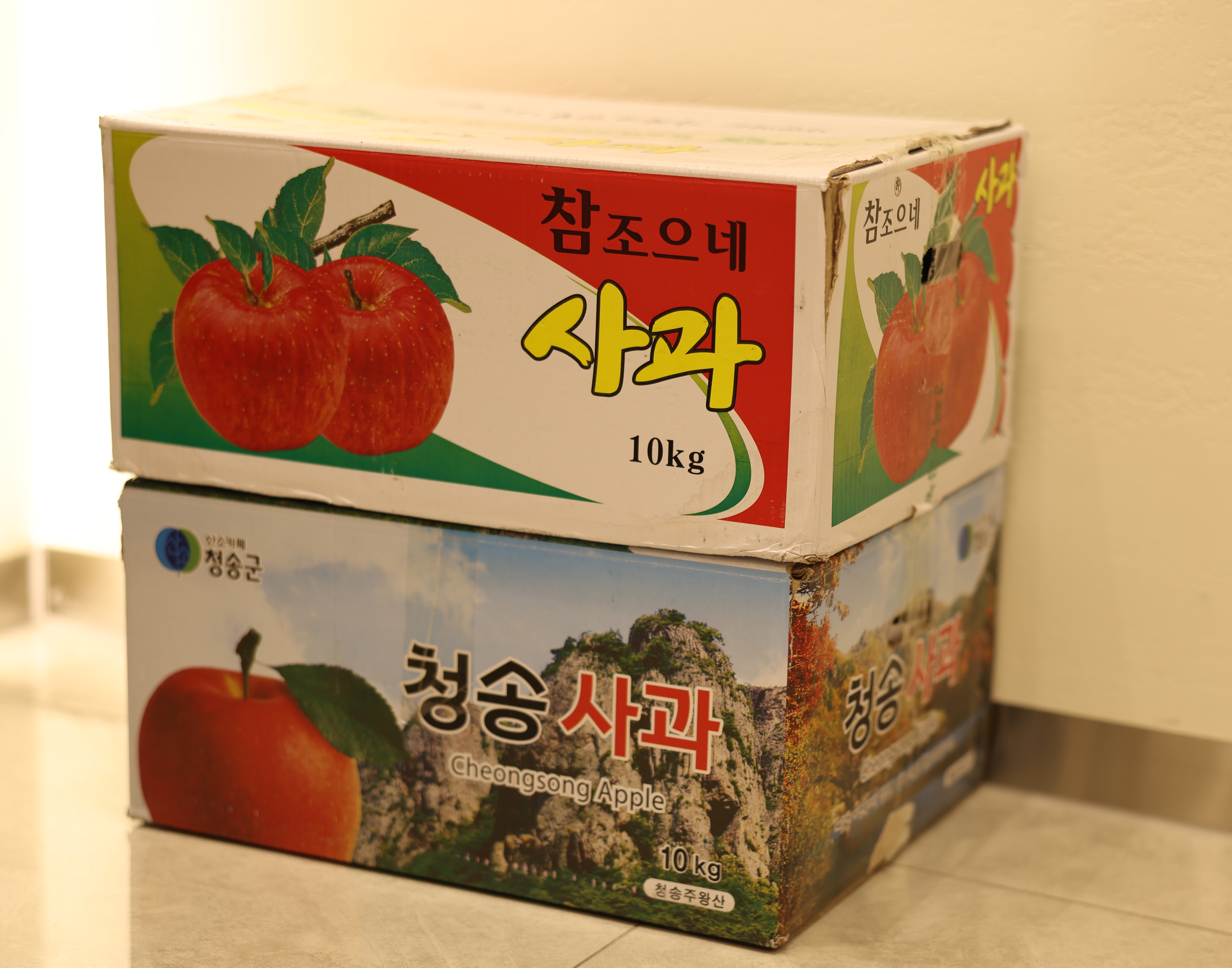 공지사항 썸네일