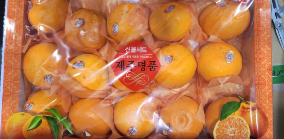 공지사항 썸네일