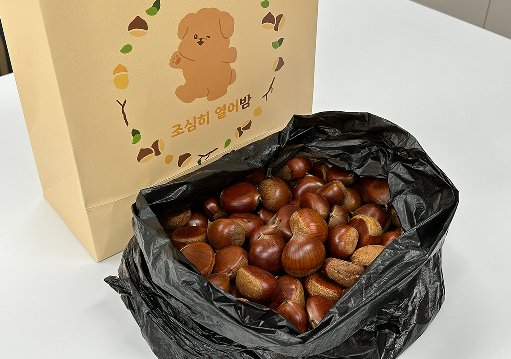 공지사항 썸네일