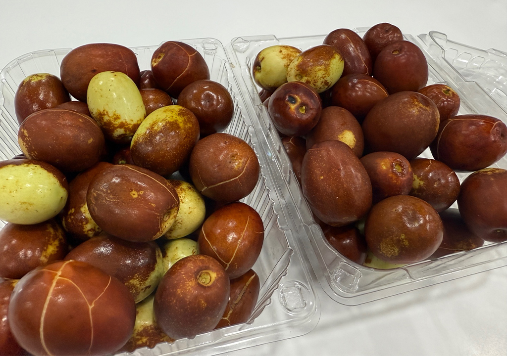 공지사항 썸네일