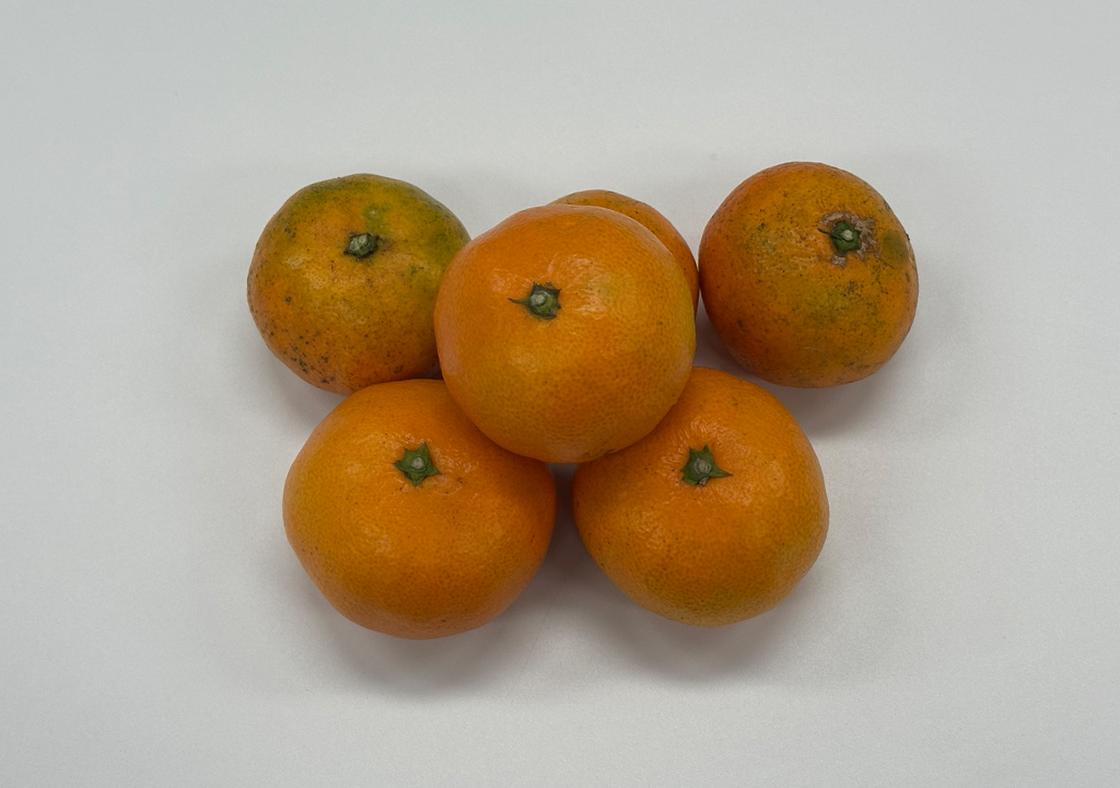 공지사항 썸네일