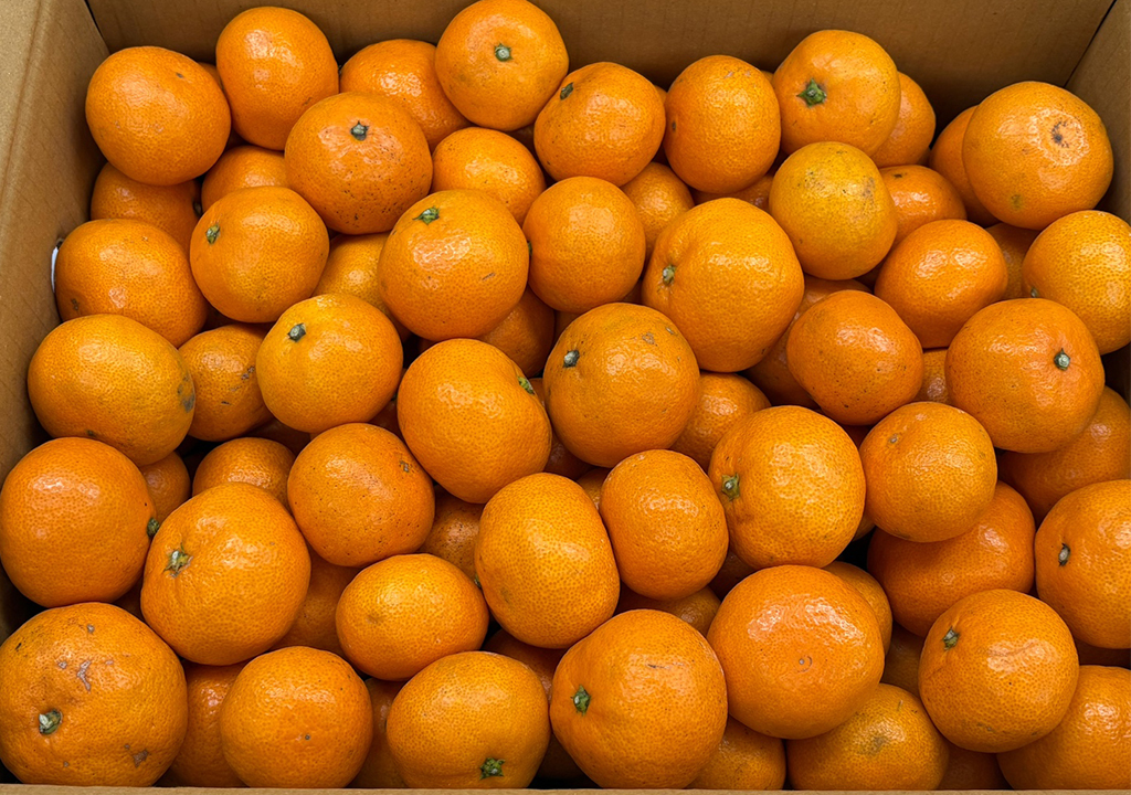 공지사항 썸네일