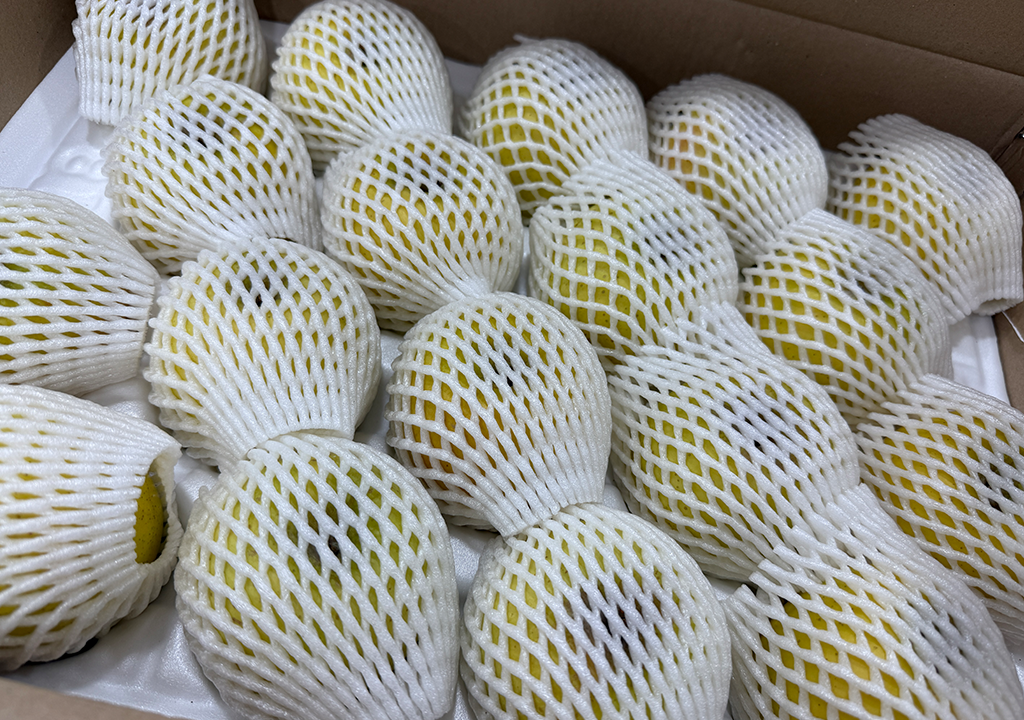 공지사항 썸네일