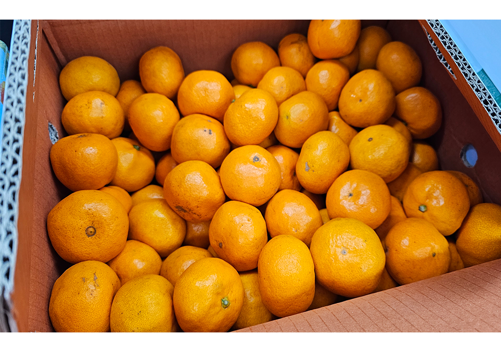 공지사항 썸네일