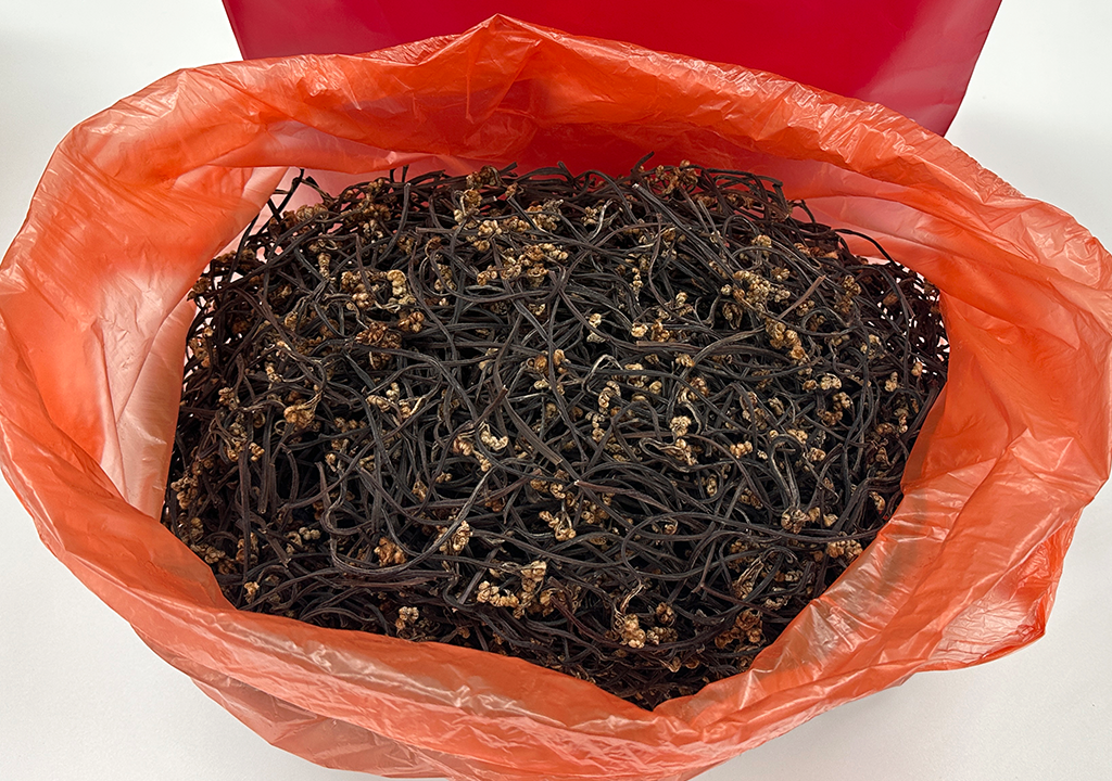 공지사항 썸네일